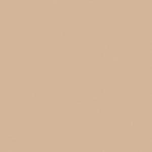 Pode incluir: Um fundo castanho claro liso com uma superfície ligeiramente texturizada. A cor é um tom quente e neutro, adequado para várias aplicações de design. A superfície parece lisa com uma ligeira grão.