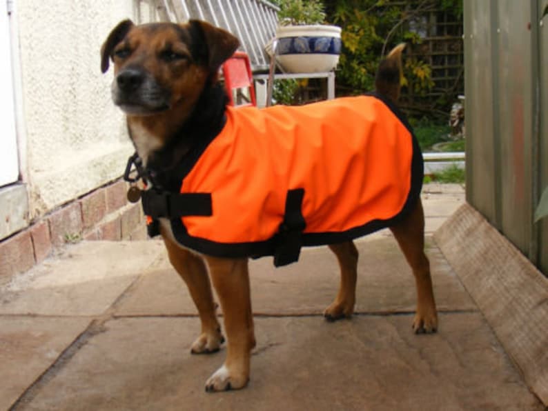 Hi Vis Waterproof Dog Coat Orange or Yellow Fleece Lined Etsy UK