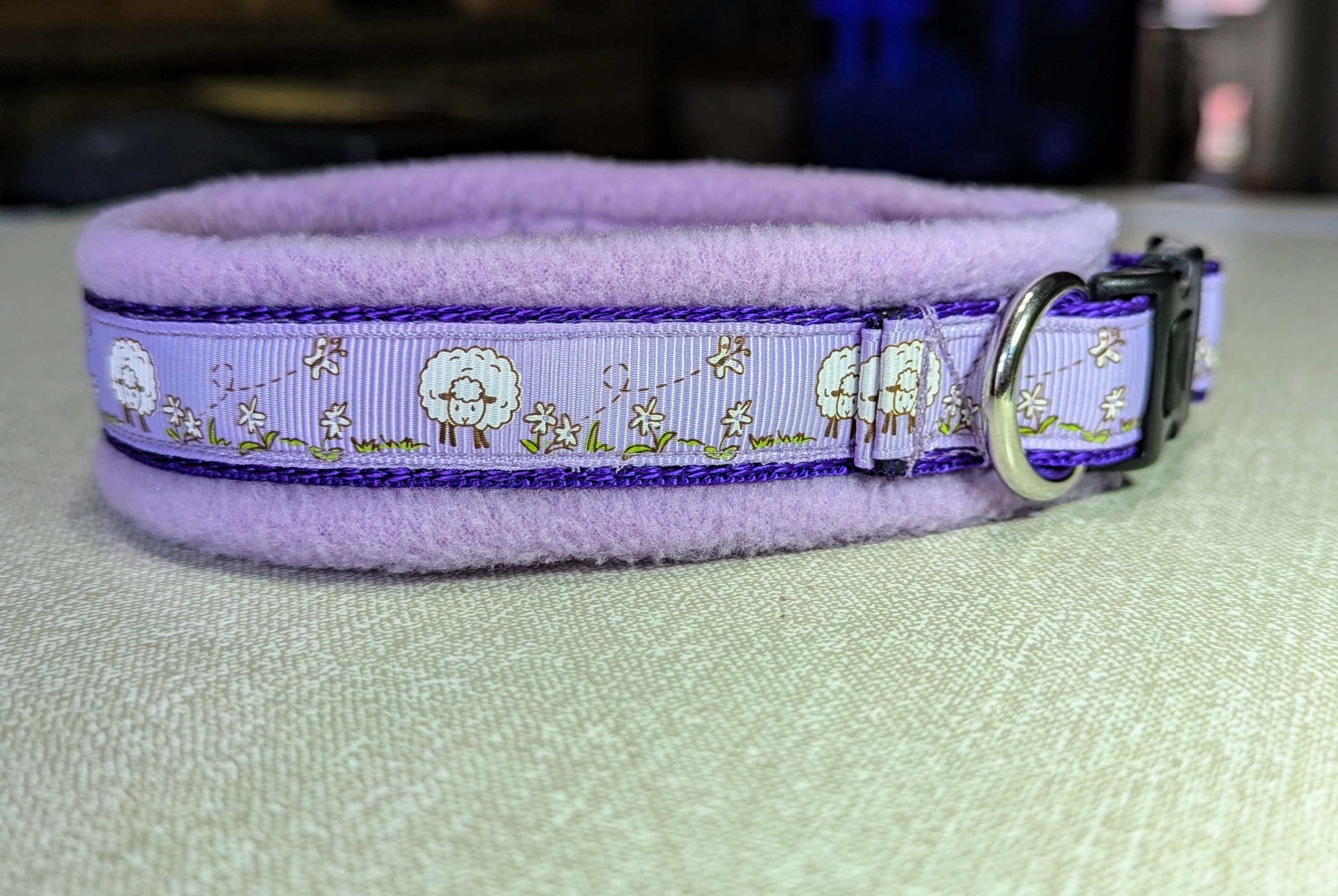 Purple puppy collar deals