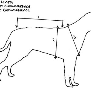 May include: Line drawing of a dog with labeled measurement points. The labels indicate back length, chest circumference, and neck circumference. Arrows point to the areas where measurements should be taken for pet clothing or accessories.