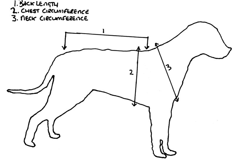 May include: Line drawing of a dog with labeled measurement points. The labels indicate back length, chest circumference, and neck circumference. Arrows point to the areas where measurements should be taken for pet clothing or accessories.