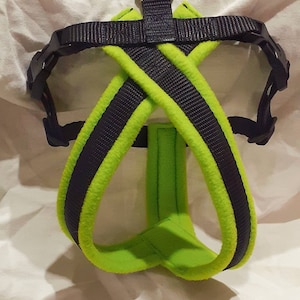 May include: A green and black dog harness with a metal clip. The harness is made of soft, padded material.