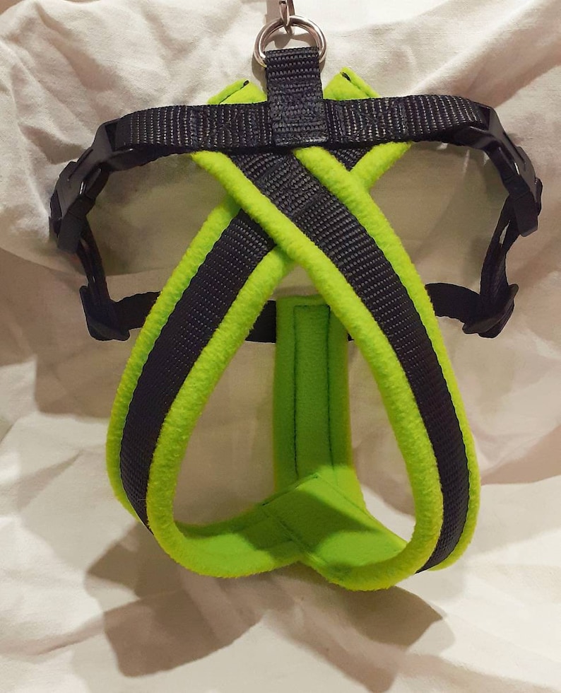 May include: A green and black dog harness with a metal clip. The harness is made of soft, padded material.