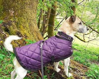 Waterproof, quilted dog coat, fleece lined,   Dark Purple & Black, all sizes available,  Made To Measure,  Harness hole