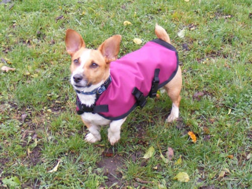 waterproof fleece lined dog coat