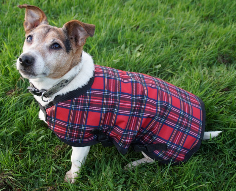 Waterproof dog coat, fleece lined Royal Stewart Tartan all sizes available Made to Measure image 1