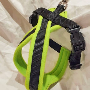 May include: A green and black padded dog harness with a metal clip.