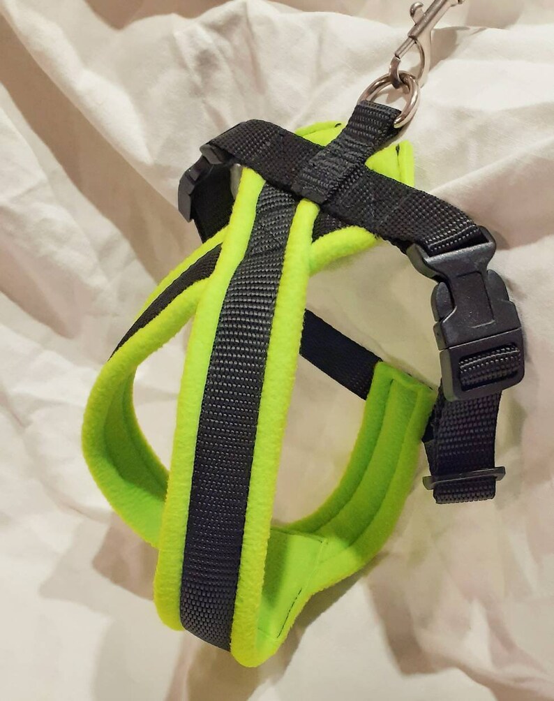 May include: A green and black padded dog harness with a metal clip.