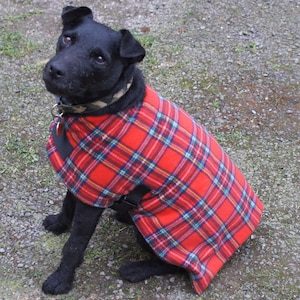 Fleece dog coat Royal Stewart Tartan, Made To Measure, drying coat, great for drying wet, muddy dogs, harness hole, Tartan