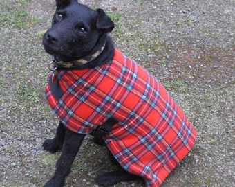 May include: Black dog wearing a red and blue plaid dog coat.