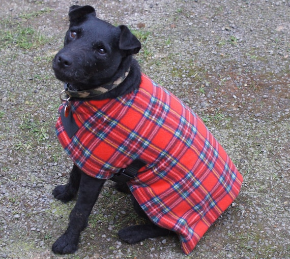 Dog Coats - Canadian-Made Jackets for Dogs of All Sizes