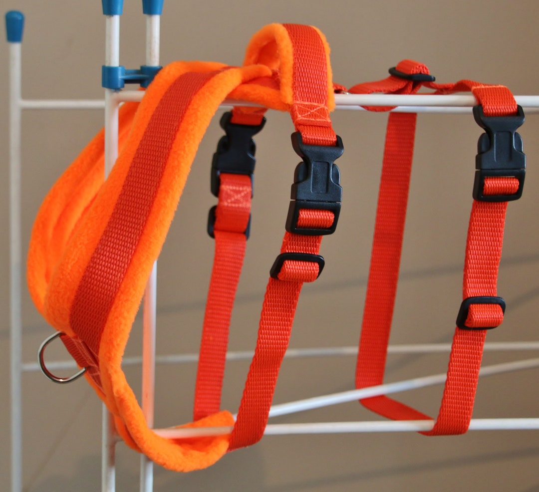 Dog Harness, Fleece Lined, No Escape, Secure, No Pull, Top Handle, Front Dring, Dog Walking