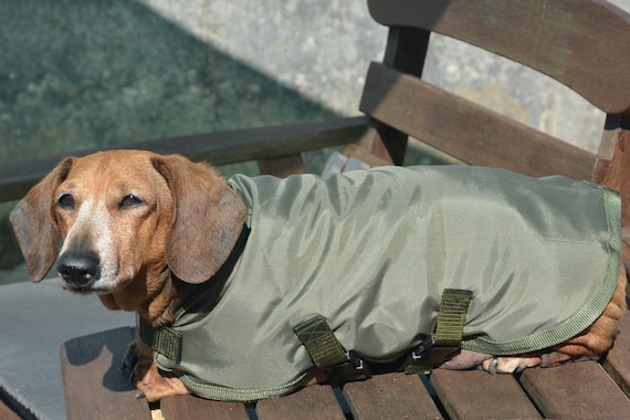 thin waterproof dog coat