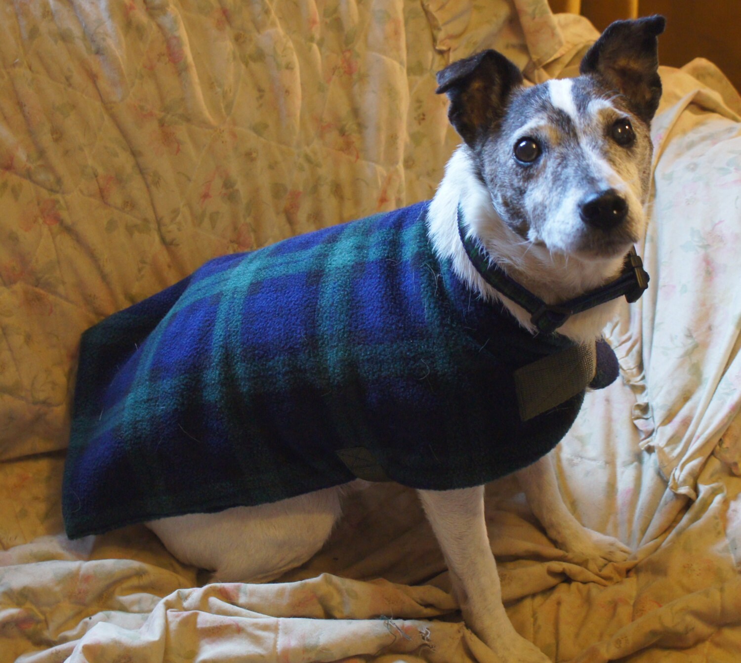 Fleece dog coat Blackwatch Tartan Etsy