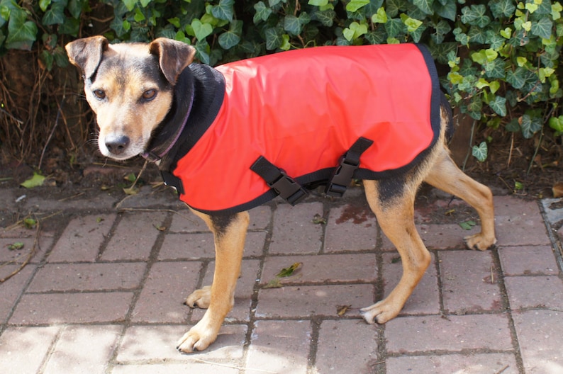 Lightweight Waterproof Dog Coat Fleece or Cotton Lined. Red Etsy UK
