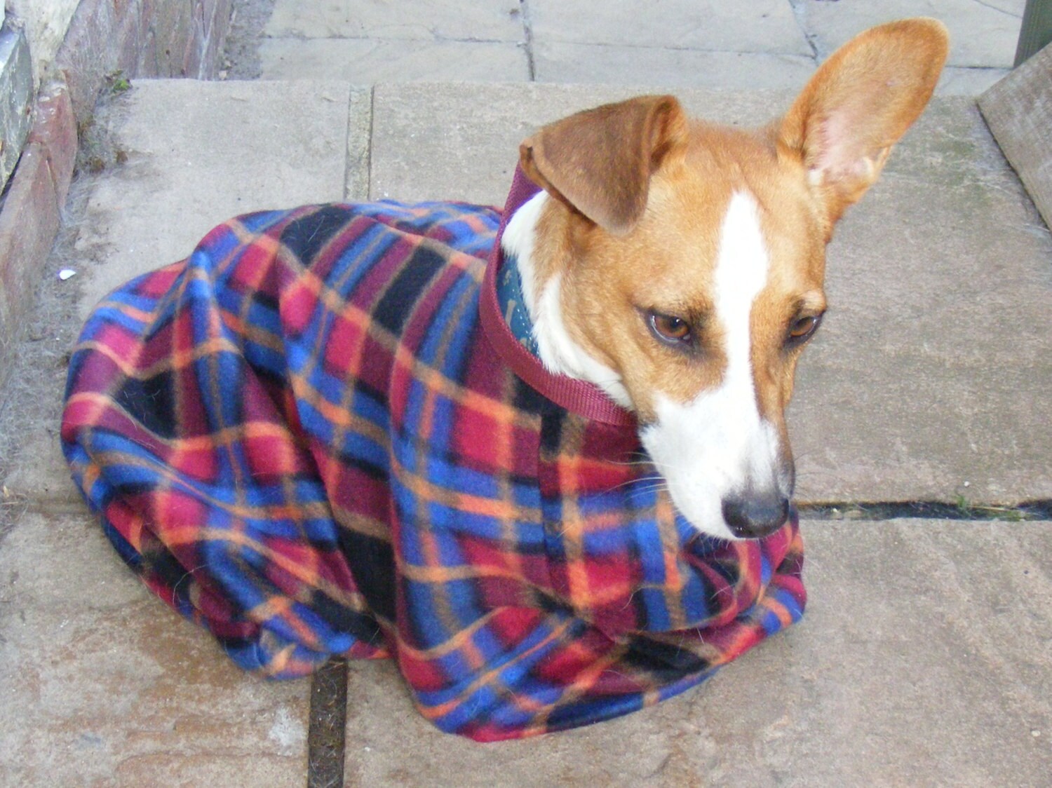 Fleece Dog Dry Bag Red or Navy Etsy UK