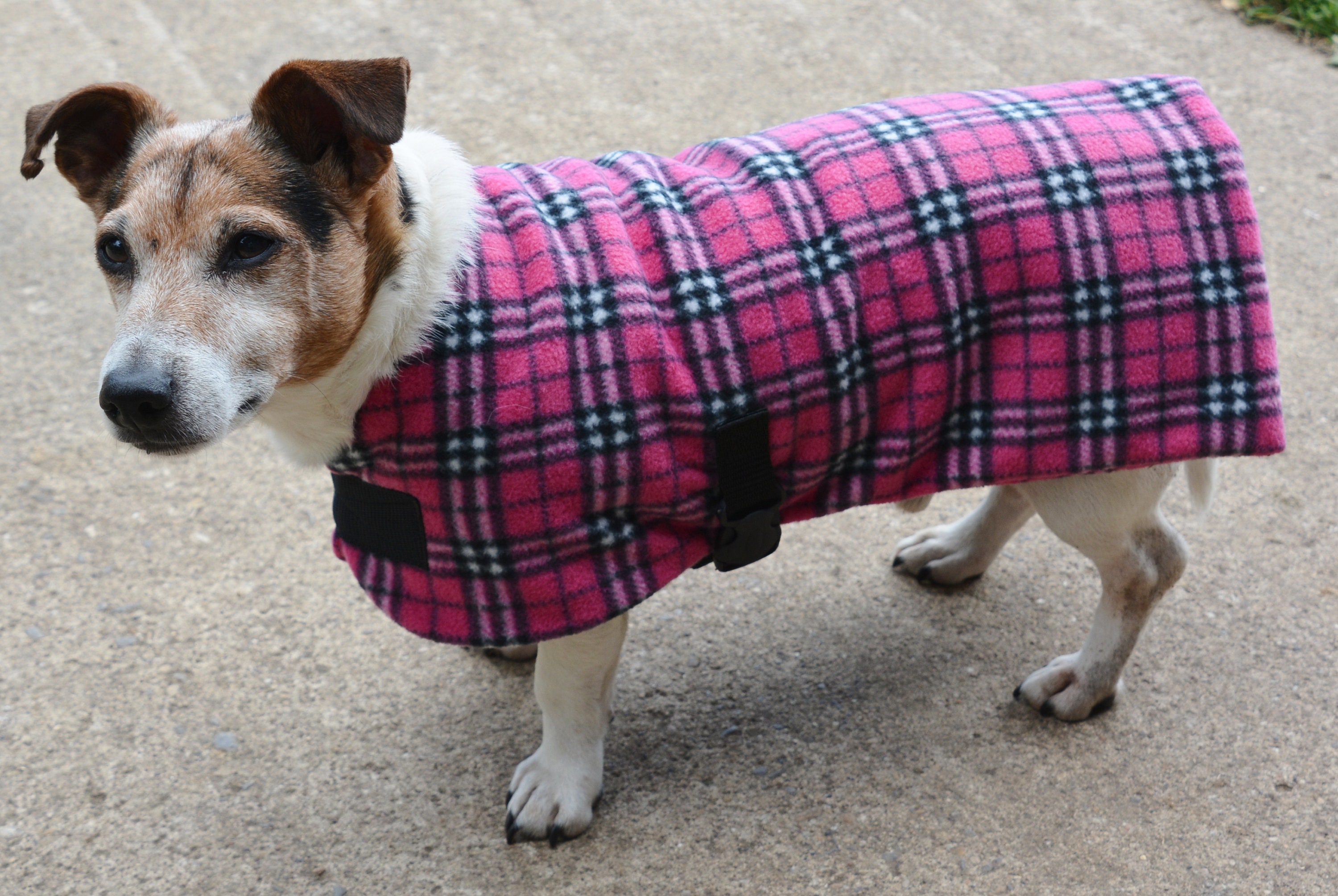 Fleece Dog Coat. Drying Coat pink Check Tartan Made to Etsy UK