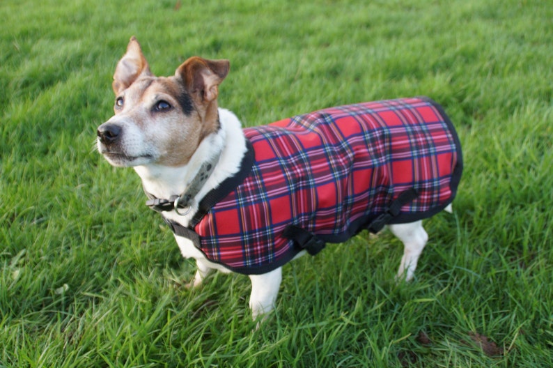 Waterproof dog coat, fleece lined Royal Stewart Tartan all sizes available Made to Measure image 2