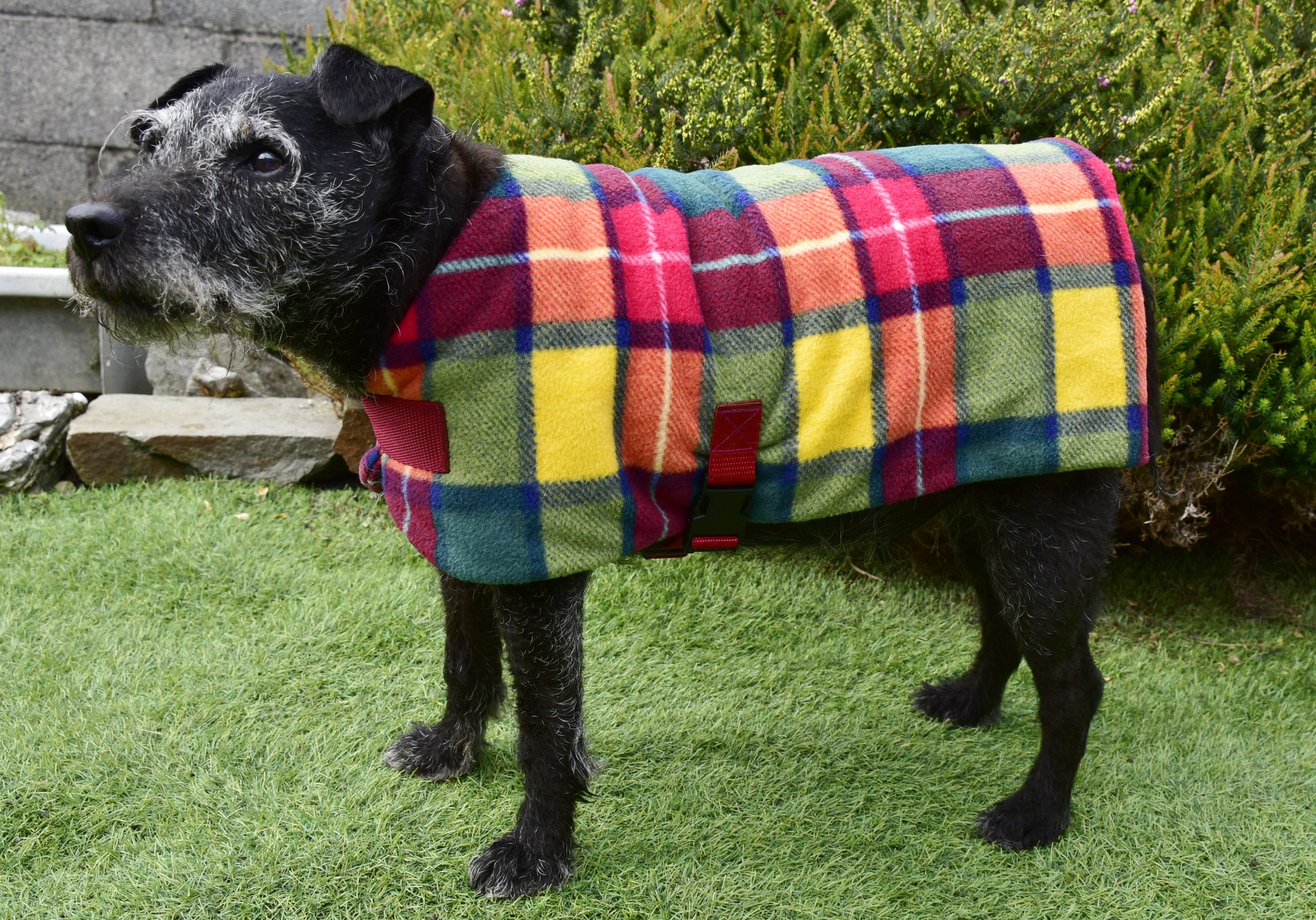 how to measure a dog for a coat uk