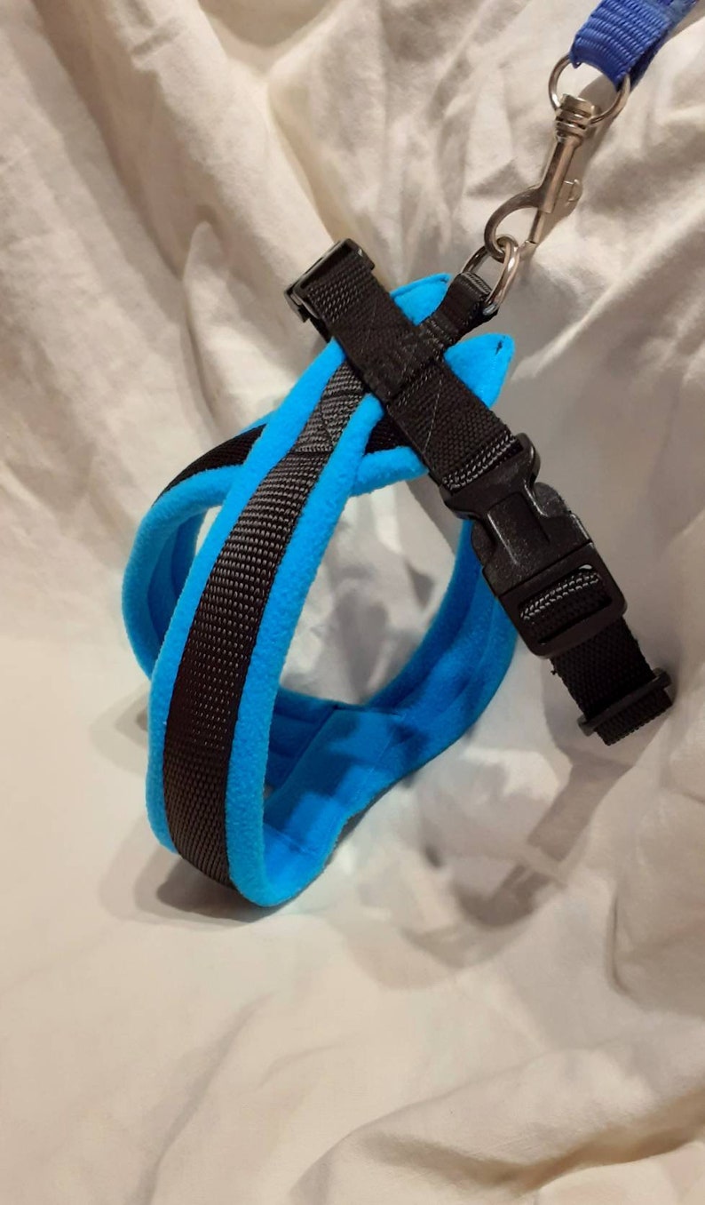 Dog Harness Fleece Lined With Matching Lead Options Etsy UK
