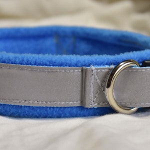 Adjustable dog collar,  fleece lined,   turquoise, reflective,