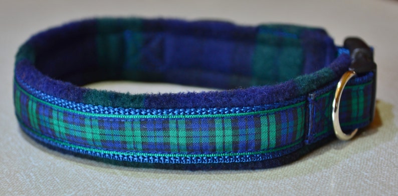 May include: A blue and green plaid dog collar with a fleece lining and a silver D-ring.