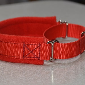 May include: Red dog collar with a padded fleece lining and a silver metal buckle.