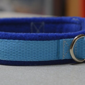 Dog collar with  fleece lining - Adjustable - Royal & Sky Blue
