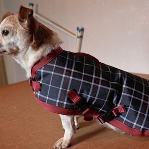 Burberry Dog Clothes: Elevate Your Pet's Style Today