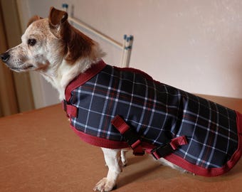May include: A small dog wearing a navy blue and red plaid dog coat. The coat has a red trim and black buckles. The dog is standing on a brown surface.