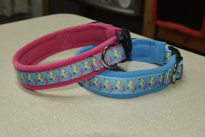 Adjustable Seahorse Dog collar with fleece lining