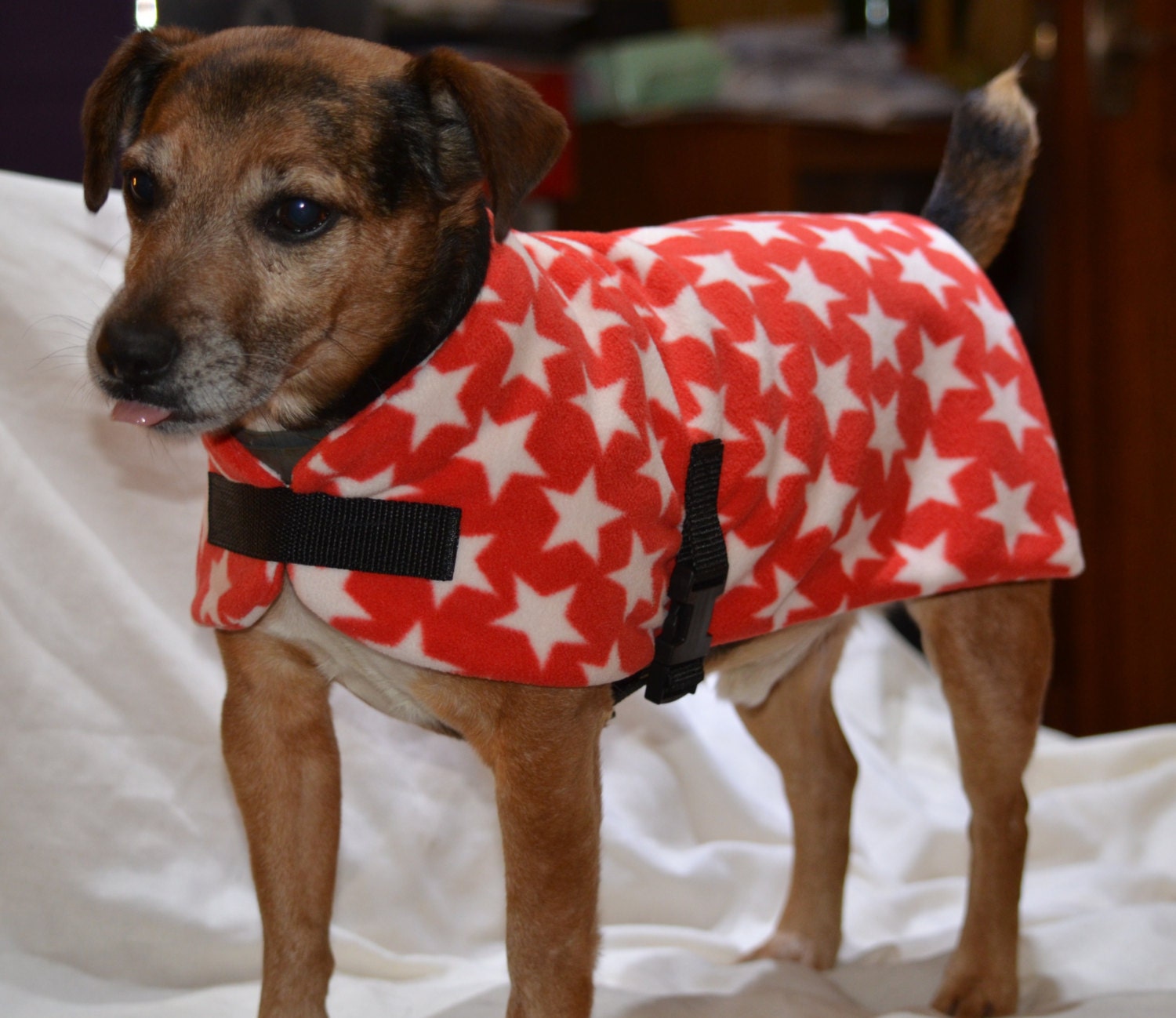 43+ Designs Fleece Dog Sweater Sewing Pattern HansiHansine