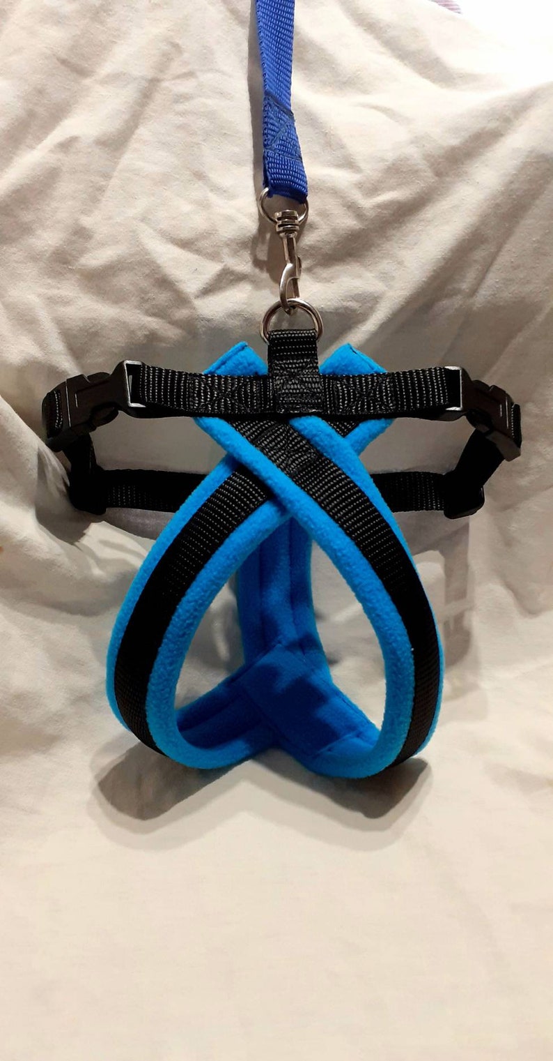 Dog Harness Fleece Lined With Matching Lead Options Etsy UK