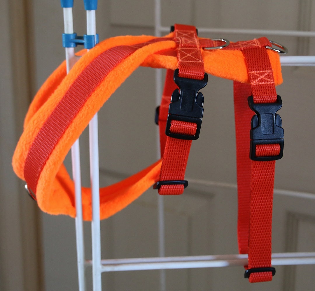 Dog Harness Fleece Lined No Escape Secure No Pull 3 Lead Etsy