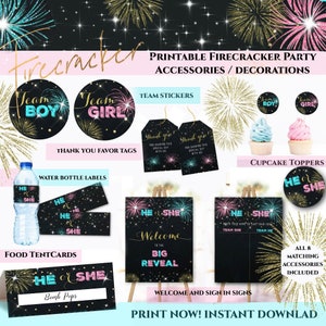 Firecracker Gender Reveal Decorations - Firework Gender Reveal Party Decor Bundle - Printable Welcome Sign, Labels, Instant Download DIY PDF