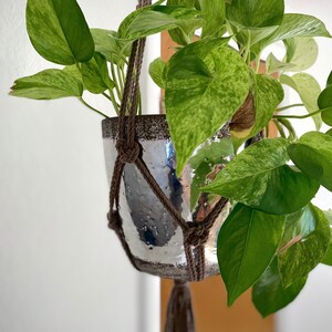 Puede incluir: Un macetero colgante con una maceta plateada y una planta verde y amarilla variegada. La planta cuelga de una cuerda de macramé marrón.