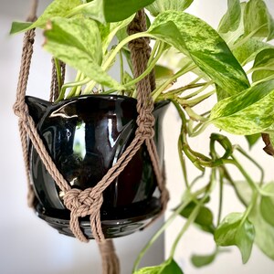 Puede incluir: Una maceta de cerámica negra con una planta verde variegada colgando de un macetero de macramé hecho de cuerda marrón.