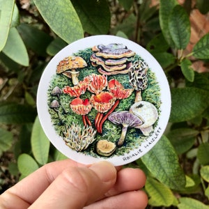 Forest Mushrooms Sticker - Waterproof, Vinyl