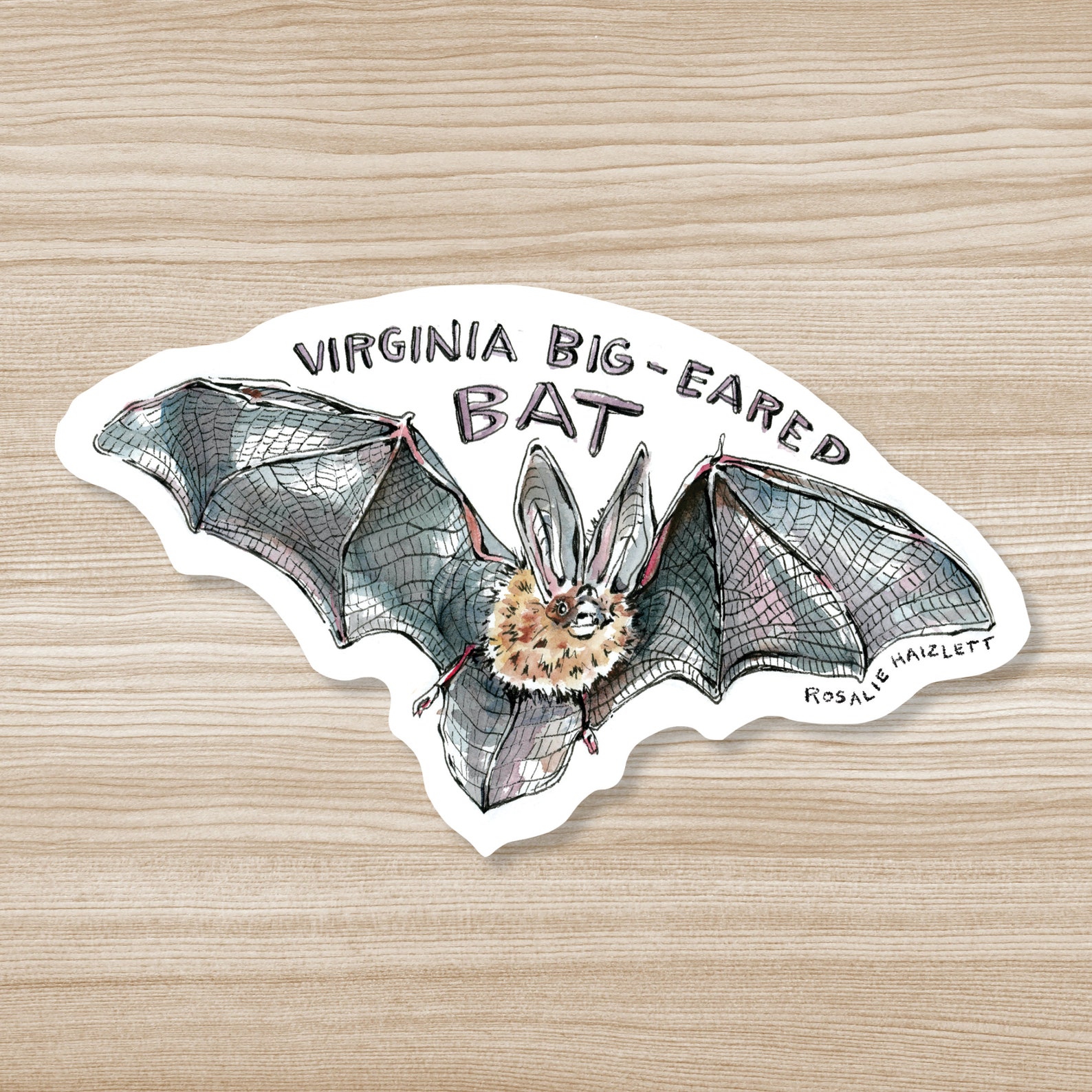 Bat Sticker - Waterproof, Vinyl - Etsy