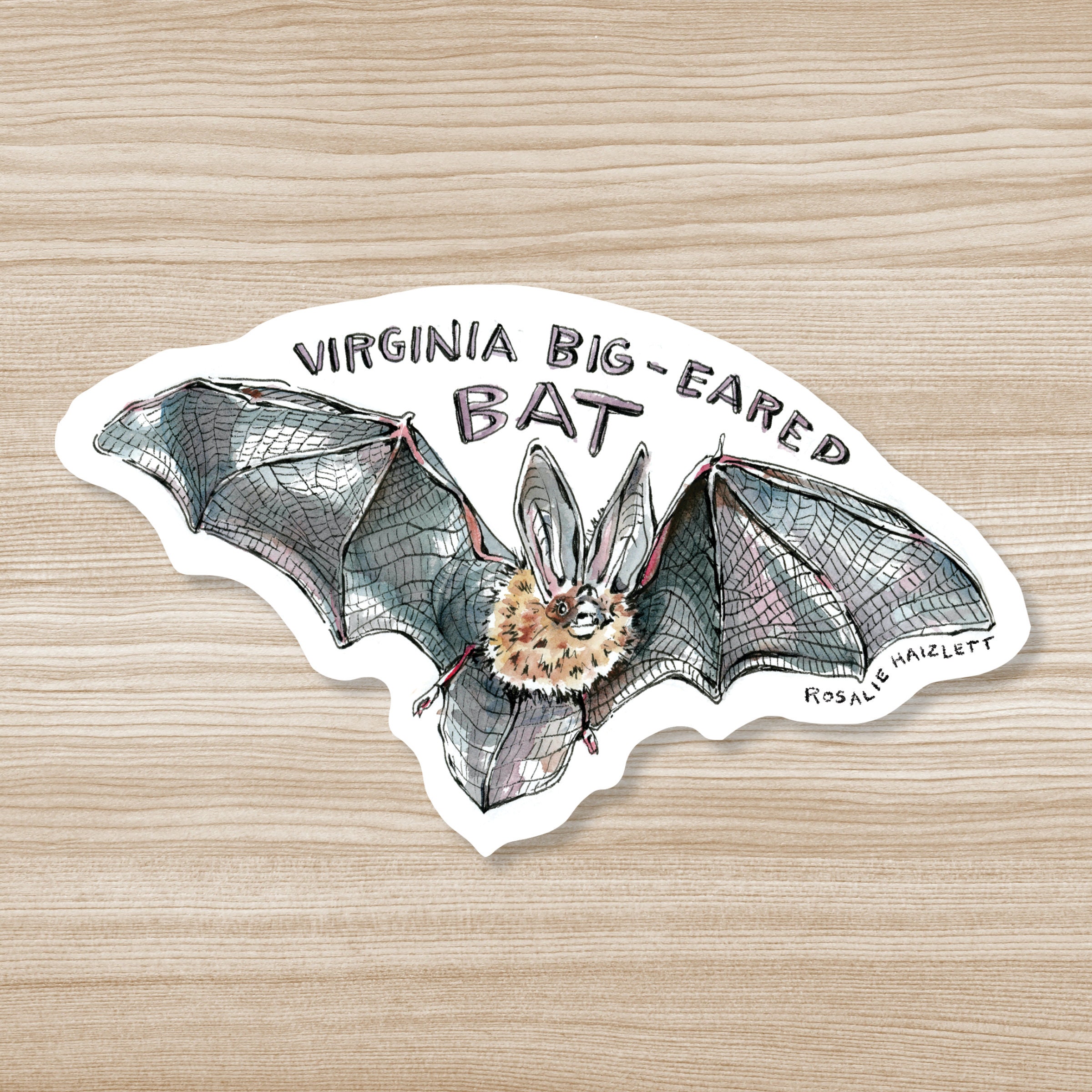 Bat Sticker - Waterproof, Vinyl - Etsy