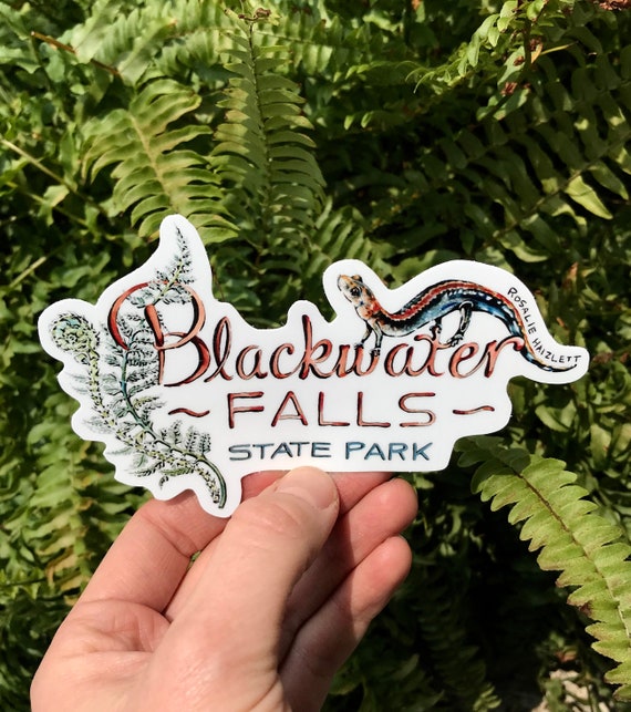 Blackwater Falls State Park Decal Sticker Explore Wanderlust Camp West Virginia