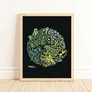 Forest Lichen - Nature Art Print