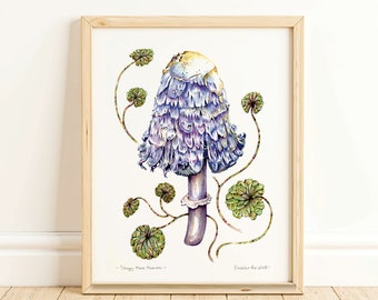 Shaggy Mane Mushroom - Watercolor Art Print