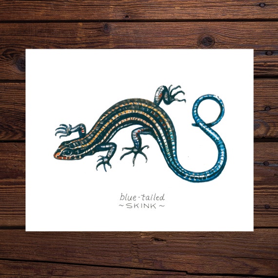 Blue Tailed Skink Original Watercolor Art Print Etsy