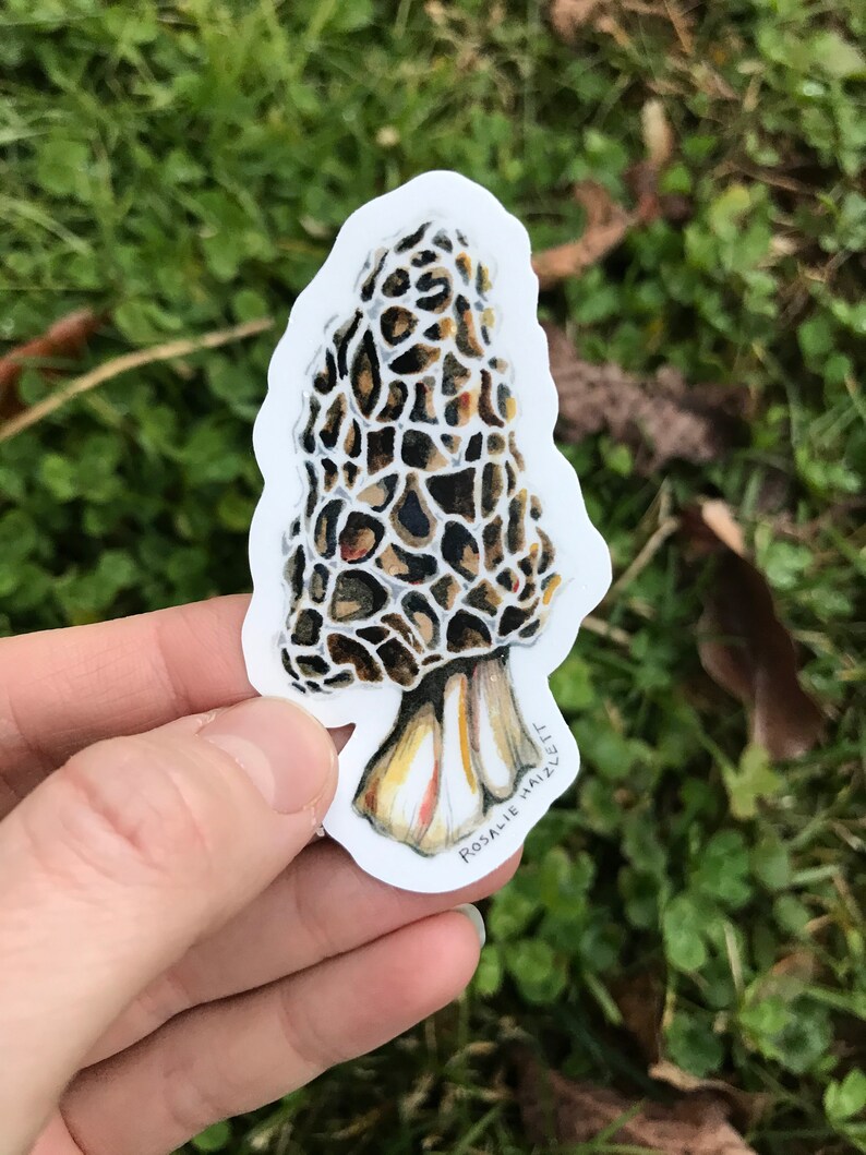 Morel Mushroom Stickers Set of 3 Etsy
