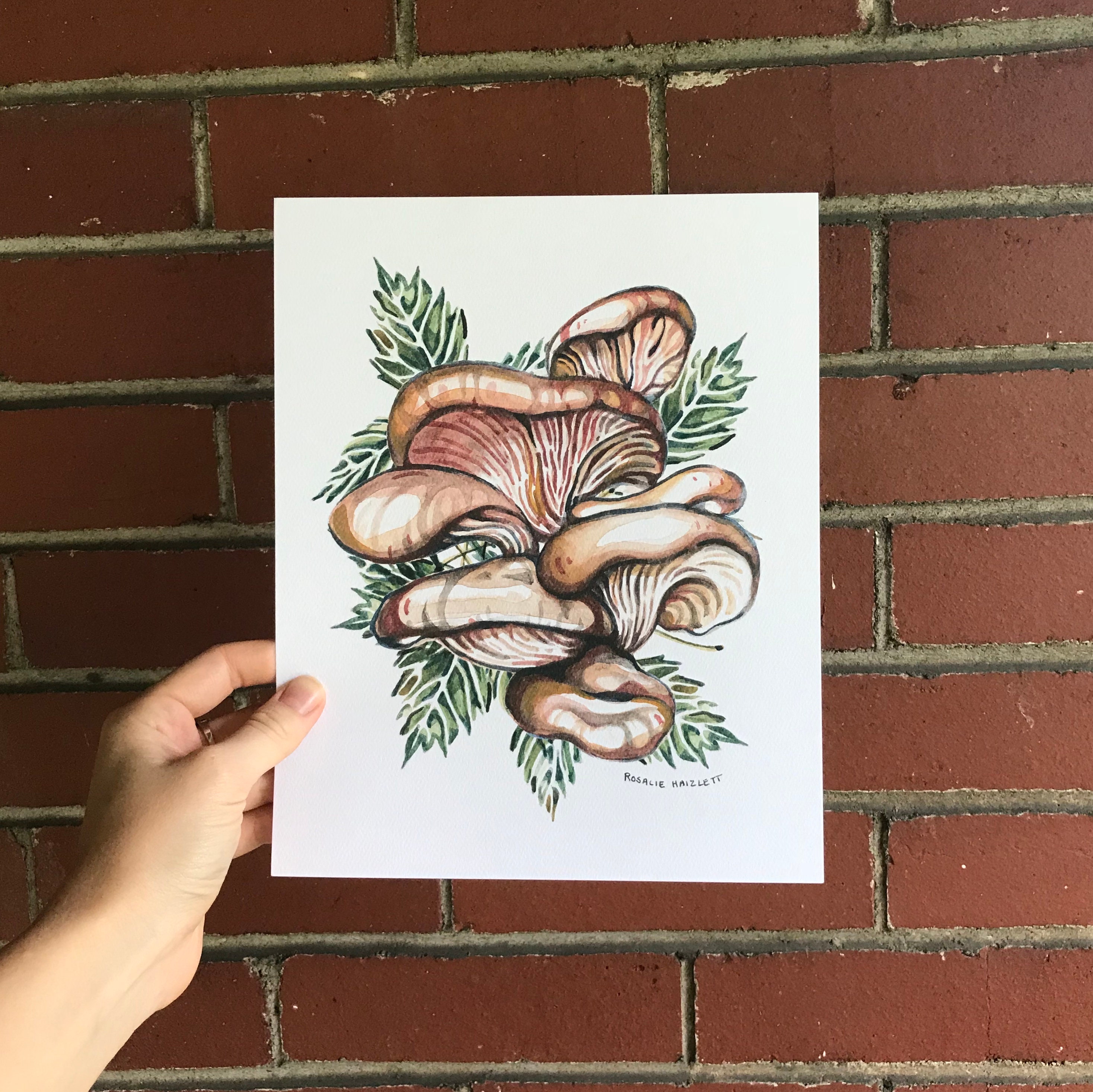 Oyster Mushroom Original Watercolor Art Print Etsy