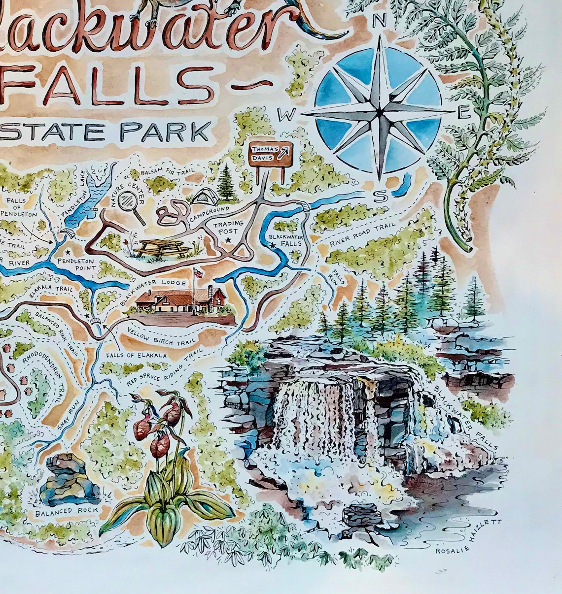 Blackwater Falls State Park Map Watercolor Illustration Etsy