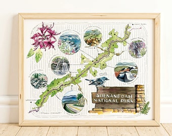 Op de afbeelding: Een aquarelillustratie van Shenandoah National Park in Virginia. De illustratie toont een kaart van het park met verschillende bezienswaardigheden, waaronder Dark Hollow Falls, Skyline Drive en Old Rag Mountain. De illustratie bevat ook een vogel, een bloem en een bord met de tekst "Shenandoah National Park".