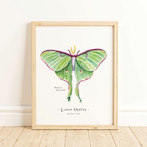Moth - Aquarell Natur Kunstdruck