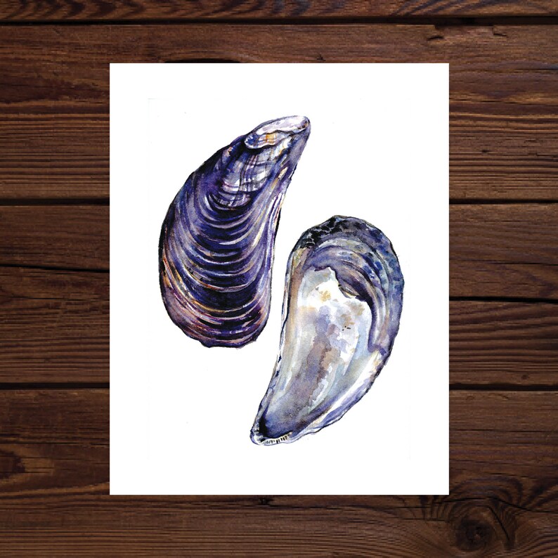 Blue Mussel Watercolor Art Print Etsy